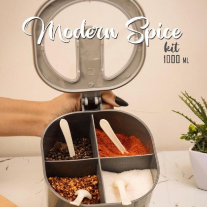 4 In 1 Modern spice kit partition kitchen seasoning box 4 Portions spice box with free spoon