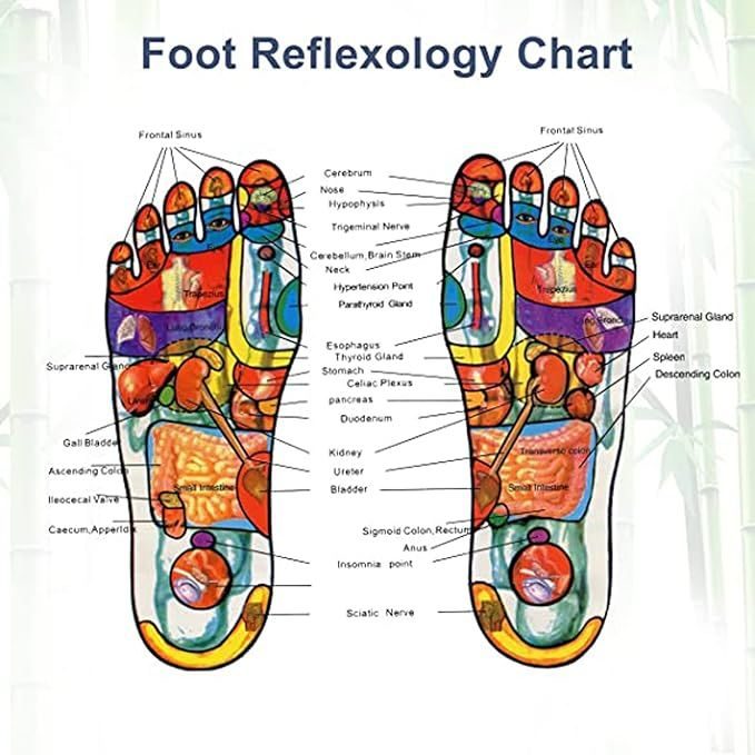 KINOKI BOX PACKING Kinoki Cleansing Detox Foot Pads are adhesive patches that are applied to the soles of the feet typically overnight Manufacturers claim these pads draw out toxins from the body
