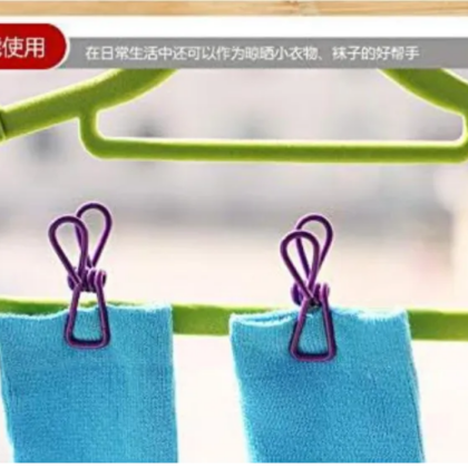 Pack of 10 Multicolor Stainless Steel Clothes Drying Clips